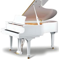 andrea494